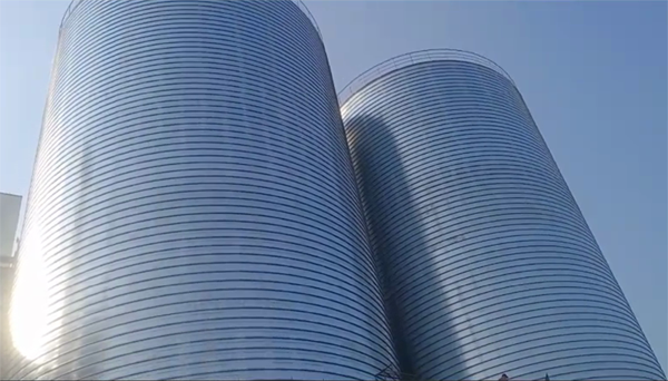 成武2座混凝土高架卷板仓